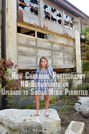 153-SKnowles2020