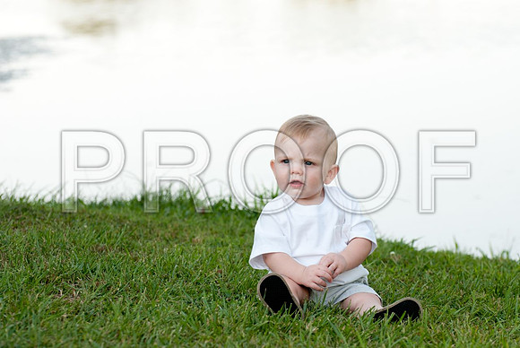 78-MullisFamily2012