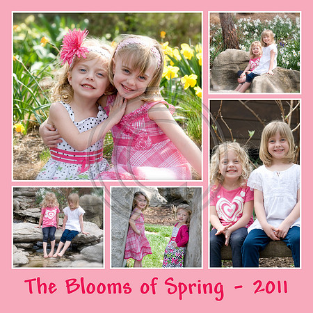 12x12-MMGSpring2011Comp