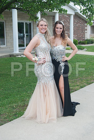 736-HannahR2015