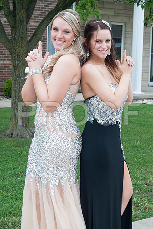 741-HannahR2015