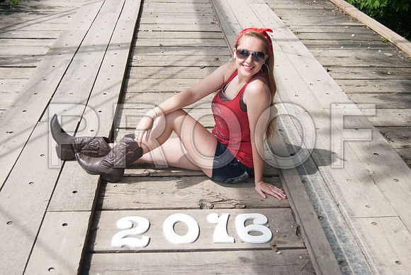 455-ChristinaH2016