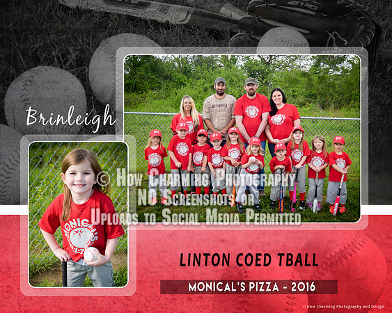 8x10-BrinleighMComposite