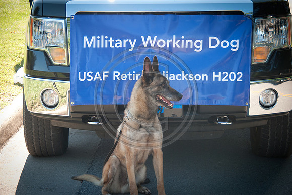101-2014FreedomFestParade