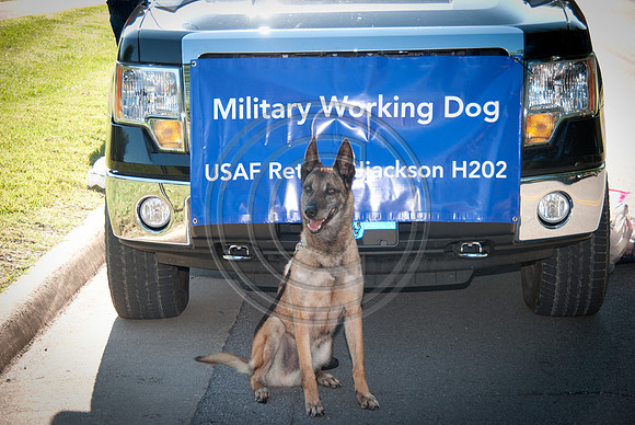 100-2014FreedomFestParade