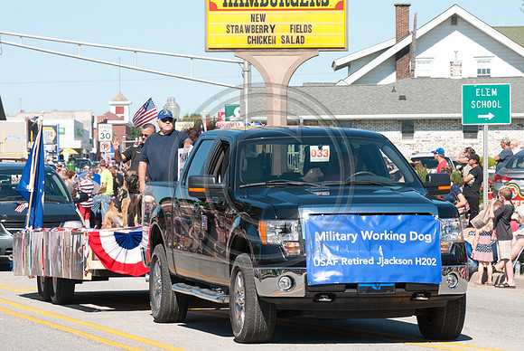 208-2014FreedomFestParade