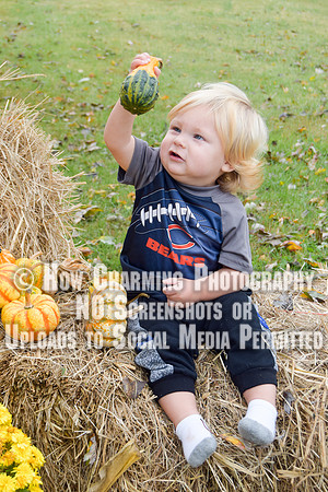529_MimisMunchkins2019