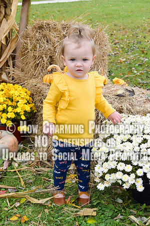 538_MimisMunchkins2019
