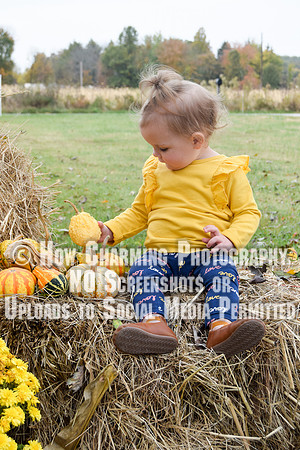 539_MimisMunchkins2019