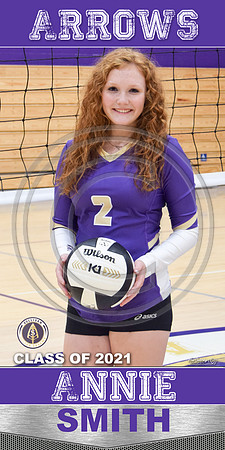 24x48-AnnieSVBallBanner