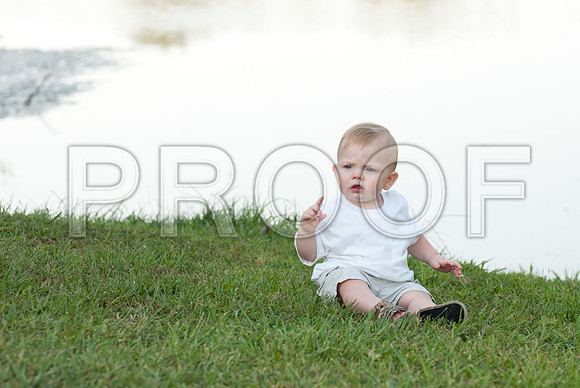 72-MullisFamily2012
